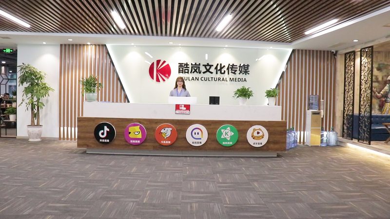 媒介投放案例分析：揭秘高效传播的秘诀
